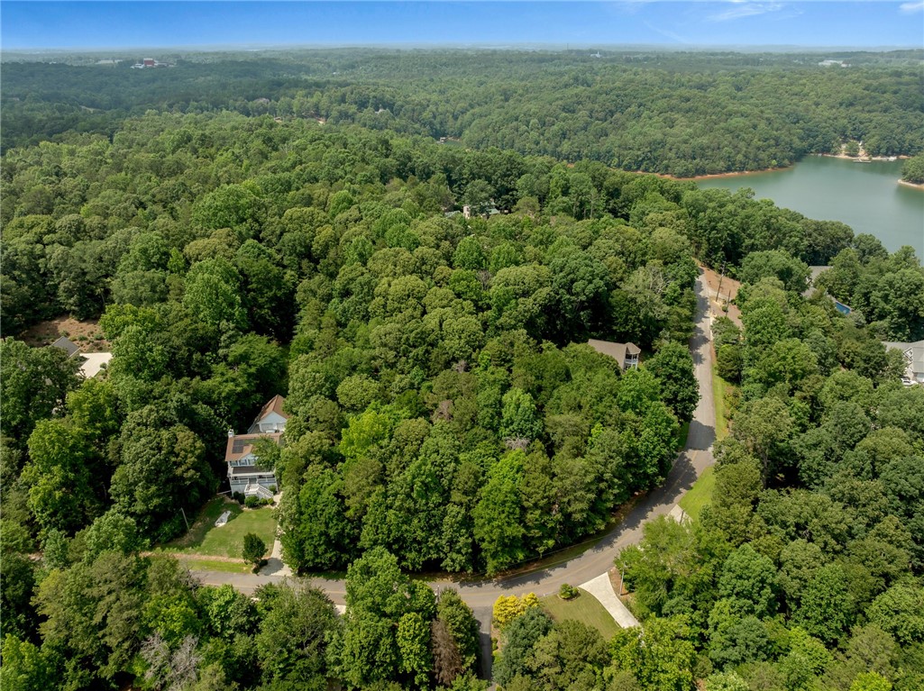 232 Riverlake Road, Fair Play, South Carolina image 9