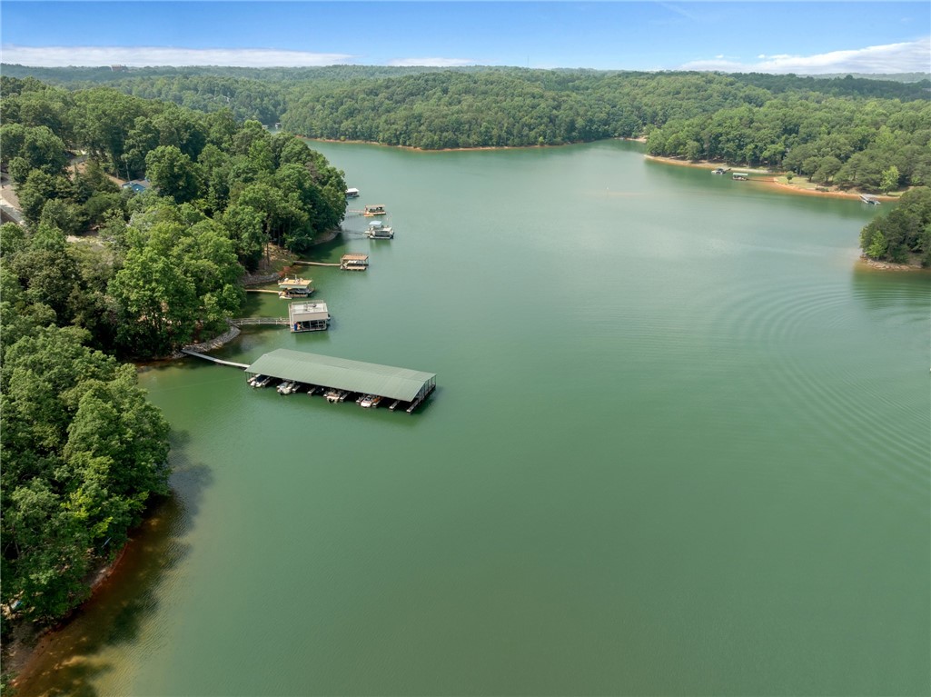 232 Riverlake Road, Fair Play, South Carolina image 3
