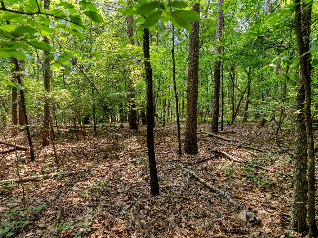 232 Riverlake Road, Fair Play, South Carolina image 6