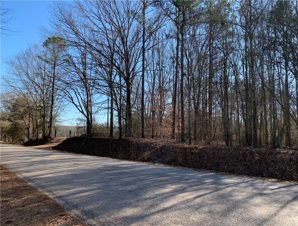 Martin Road, Honea Path, South Carolina image 2