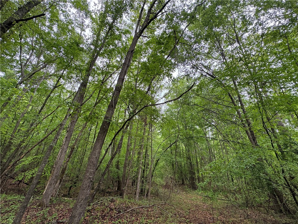 1220 Watson Road, Enoree, South Carolina image 15