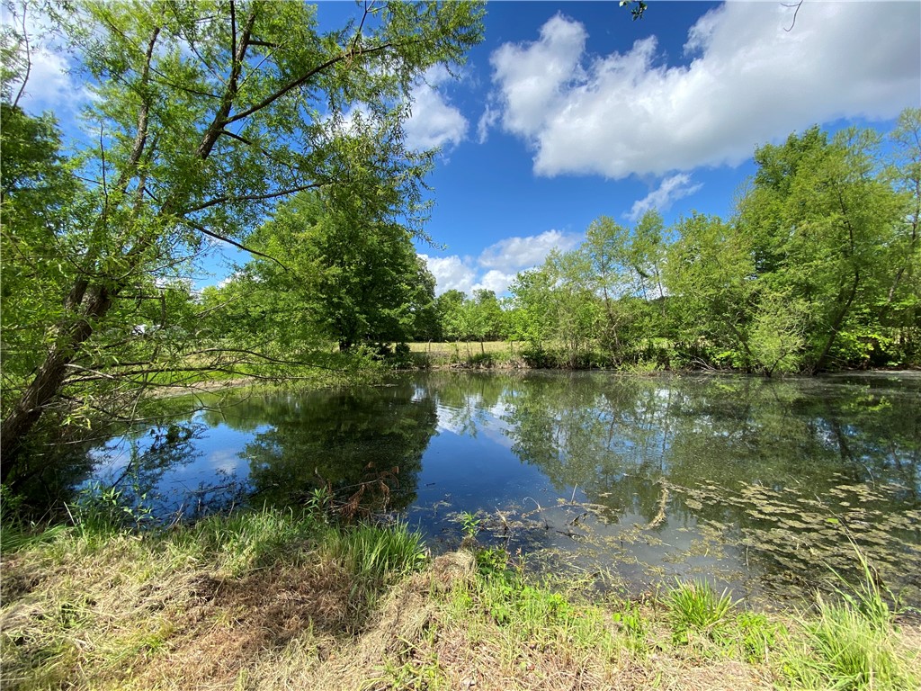 1747 Eden Hall Road, McCormick, South Carolina image 29