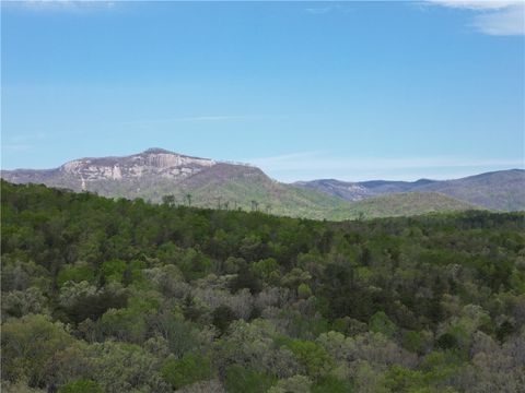 Vacant Land For Sale - Pumpkintown Hwy 8 Highway<br/> Pickens, SC 29671