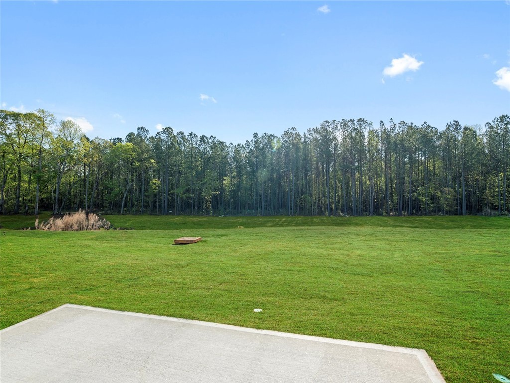 836 Penfold Pointe, Wellford, South Carolina image 29
