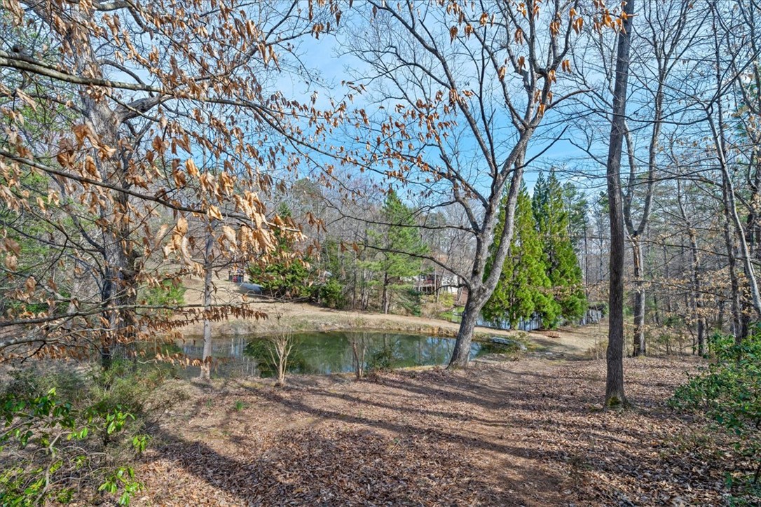 150 Katie Did Holler Lane, Walhalla, South Carolina image 7