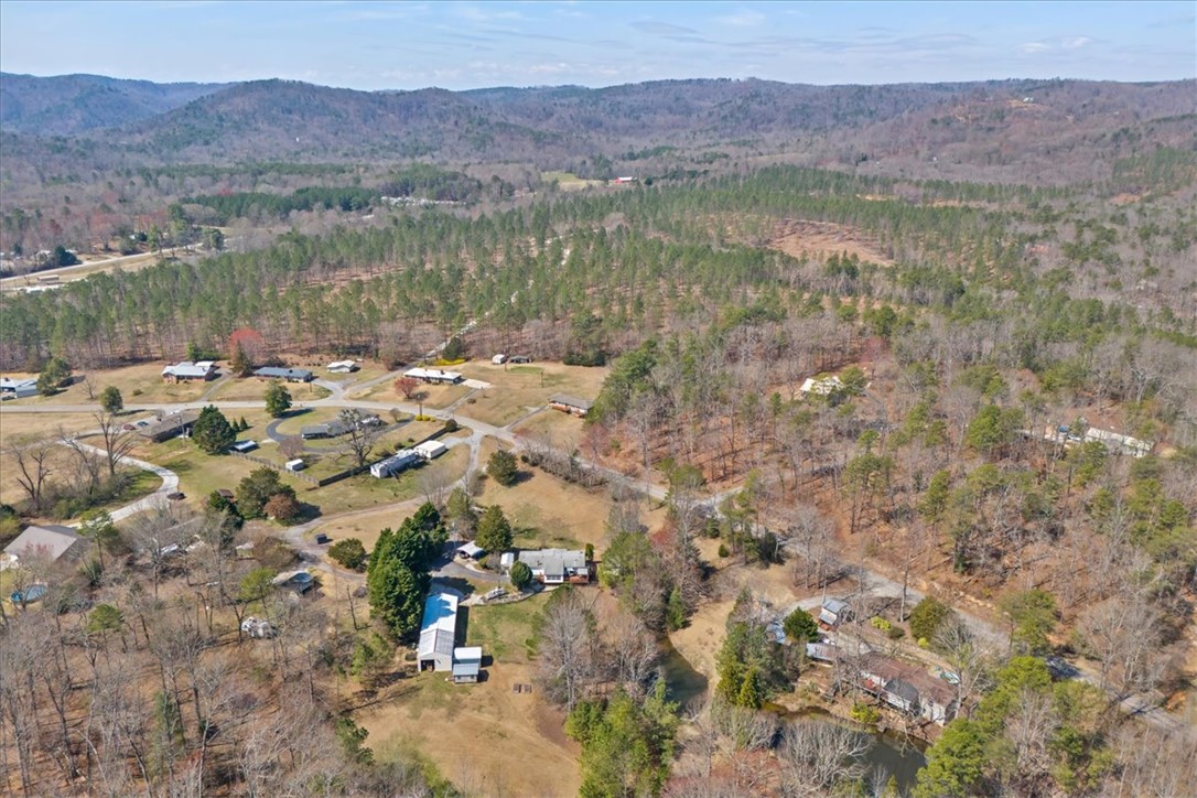 150 Katie Did Holler Lane, Walhalla, South Carolina image 44