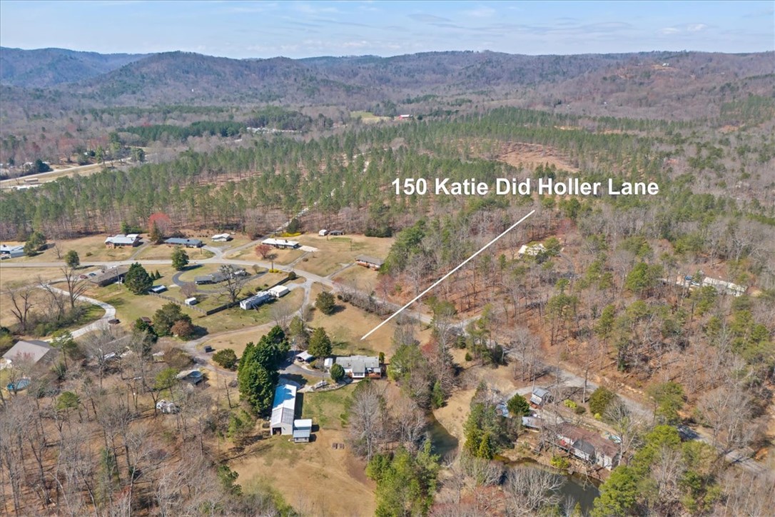 150 Katie Did Holler Lane, Walhalla, South Carolina image 5
