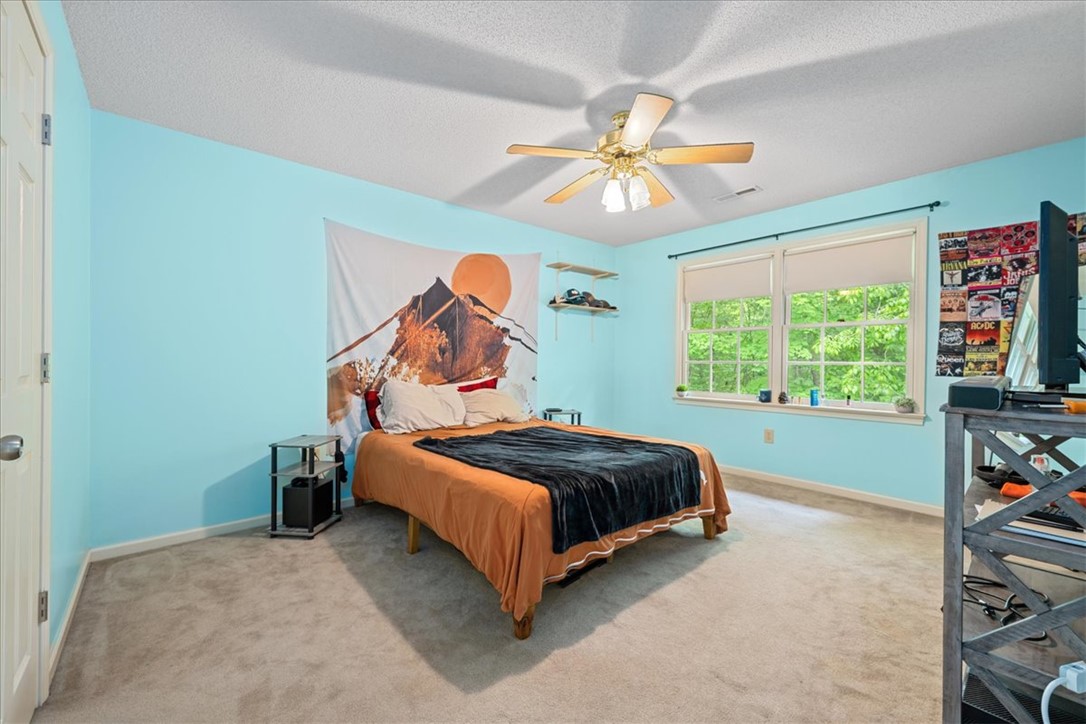 205 Catawbah Road, Clemson, South Carolina image 31