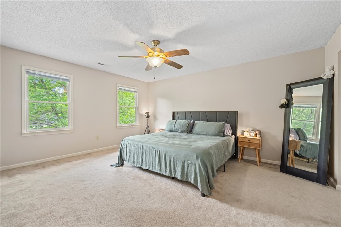 205 Catawbah Road, Clemson, South Carolina image 24