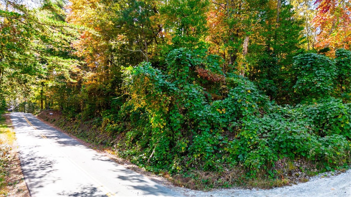 00 Holly Springs School Road, Pickens, South Carolina image 11