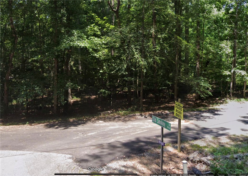 Blue Ridge Court #LOT 75, Westminster, South Carolina image 1