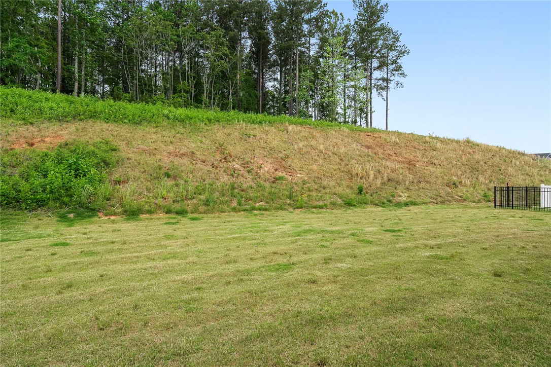 112 Grange Valley Lane, Clemson, South Carolina image 41