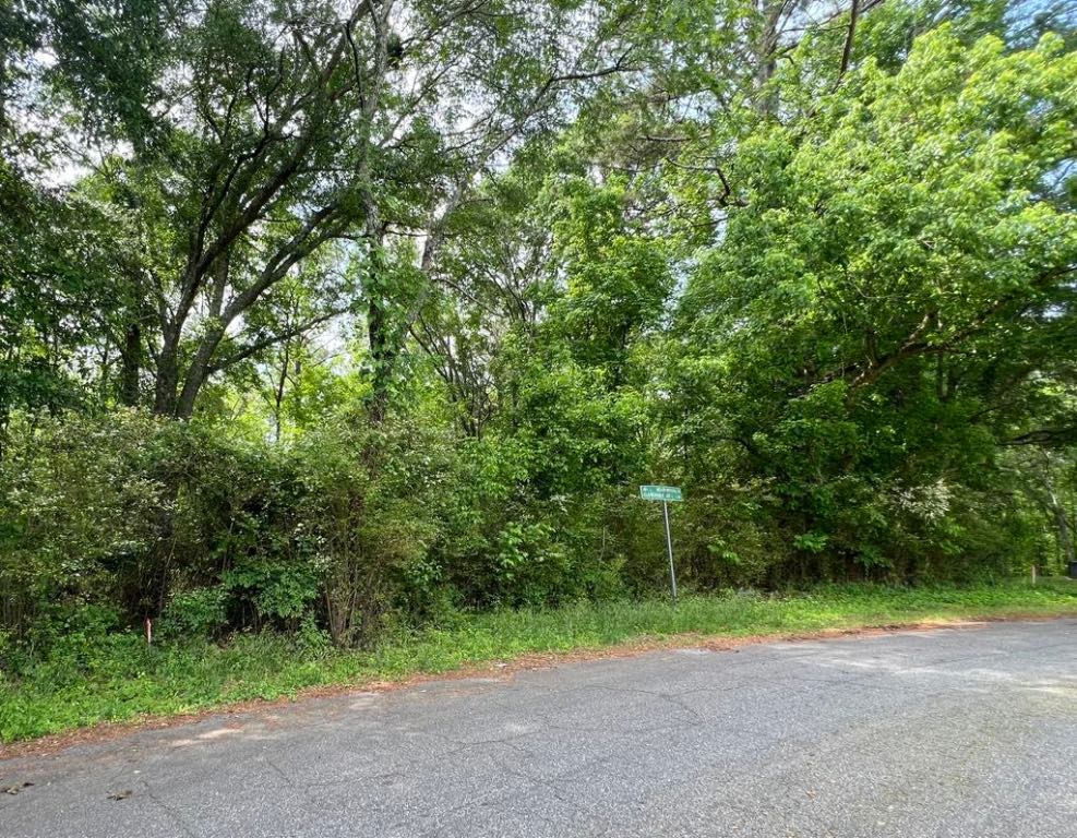 Lot 1 Cloverdale Drive, Anderson, South Carolina image 10