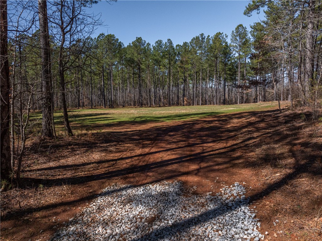 002 Simms Mill Road, Liberty, South Carolina image 3