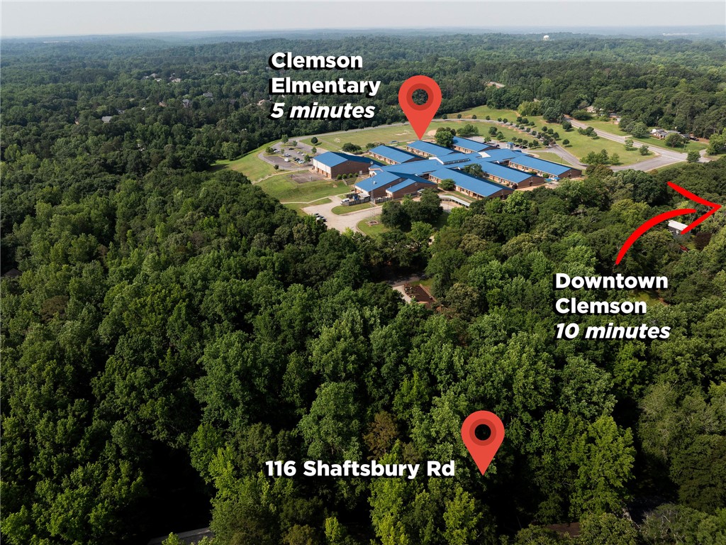116 Shaftsbury Road, Clemson, South Carolina image 48