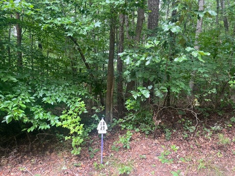 Vacant Land For Sale - 135 Tulip Lane<br/> Westminster, SC 29693