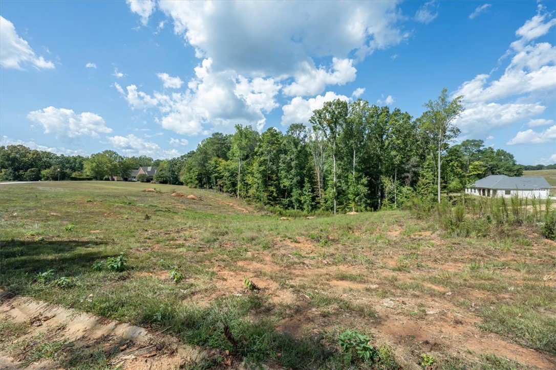 104 Topsail Drive, Anderson, South Carolina image 4