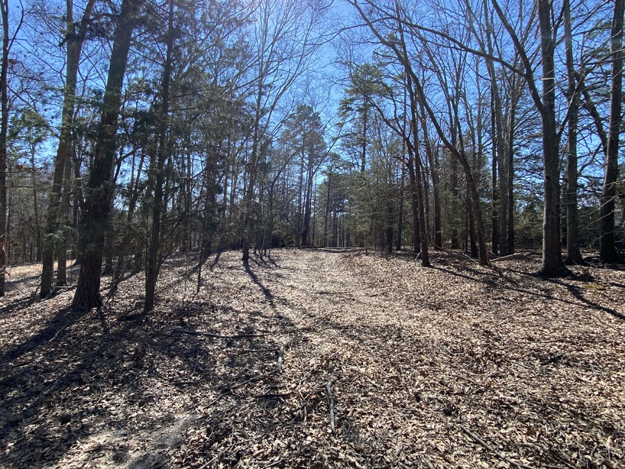 75 Majestic Shores Lane, Hartwell, Georgia image 2
