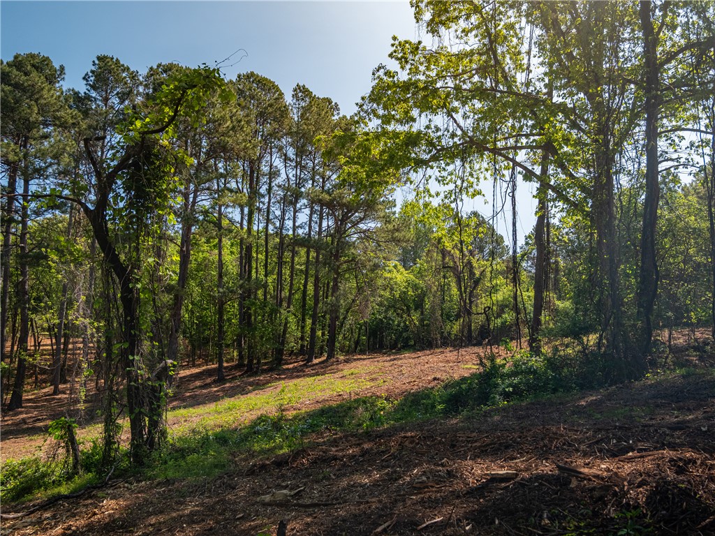 01 Moorefield Memorial Highway, Liberty, South Carolina image 30