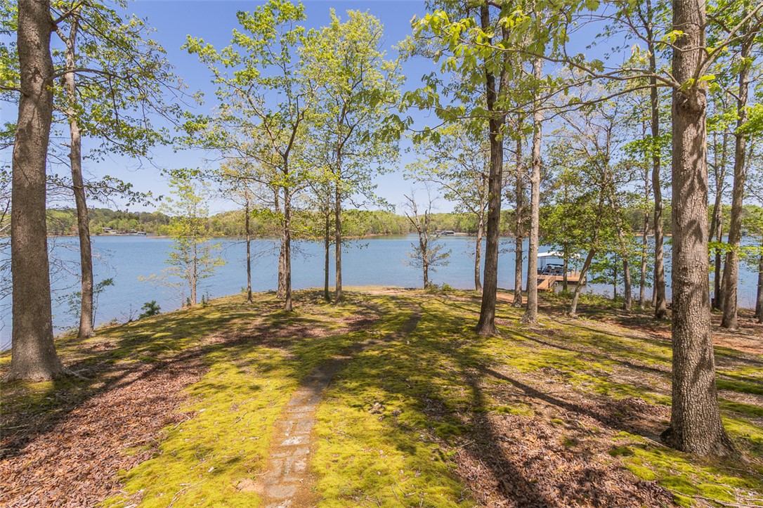 337 Forest Cove Road, Anderson, South Carolina image 19