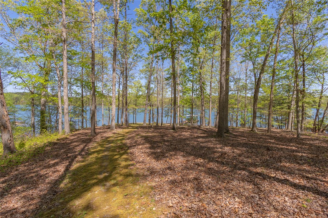 337 Forest Cove Road, Anderson, South Carolina image 18