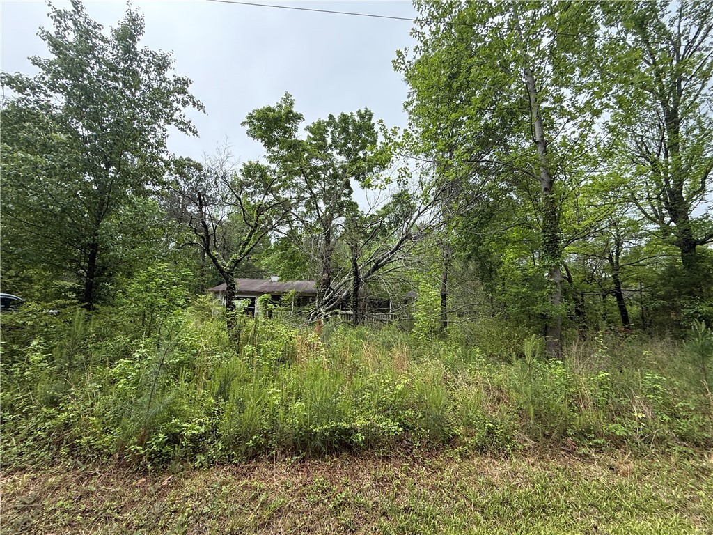 102 Hillcrest Court, Walhalla, South Carolina image 3