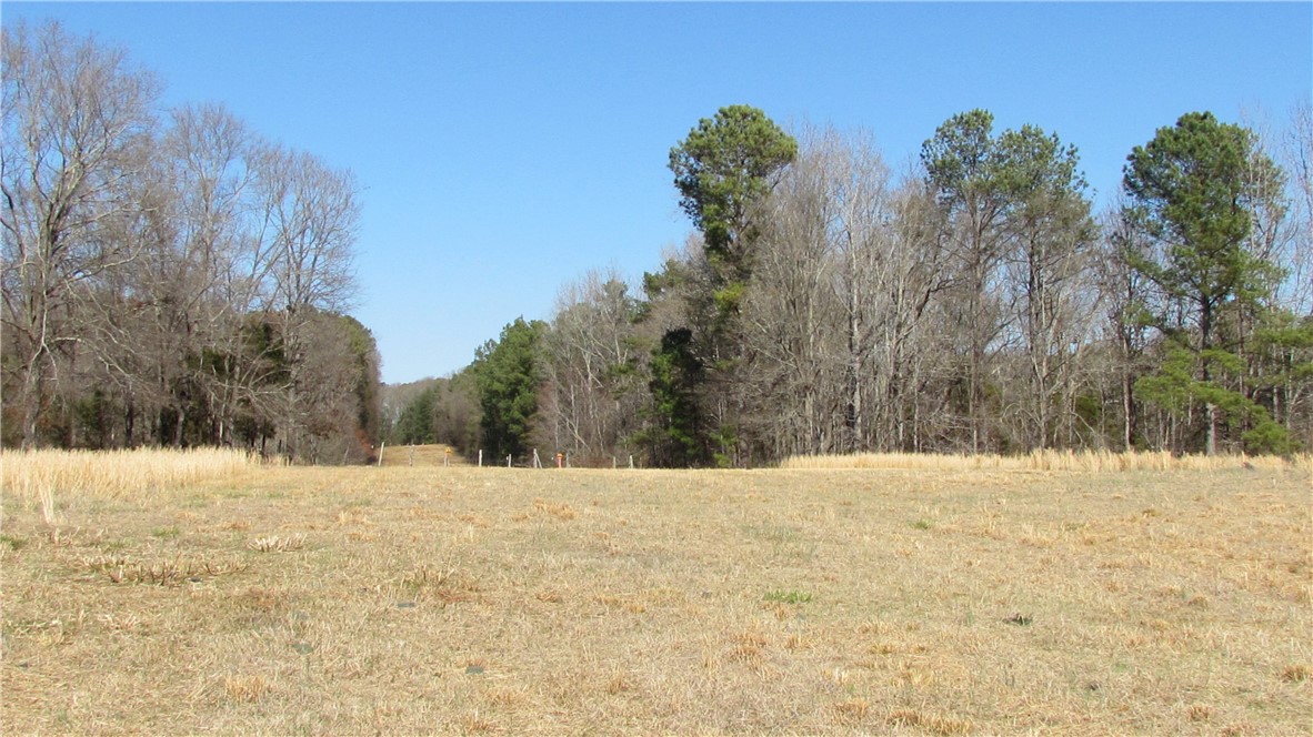 460 N Major Road, Belton, South Carolina image 6