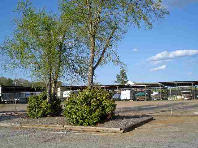 Lot 1101 Boat Ramp Road, Westminster, South Carolina image 14