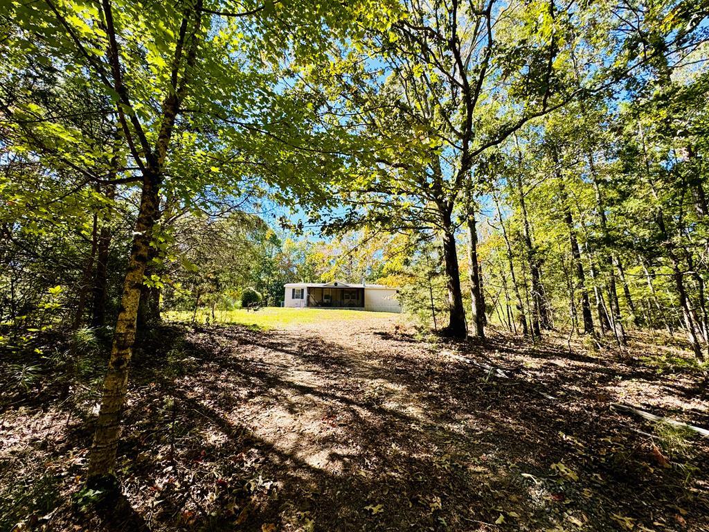 3180 Horseshoe Drive, Iva, South Carolina image 2