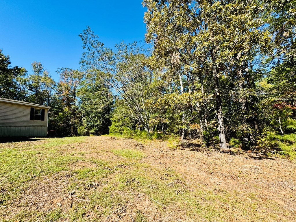 3180 Horseshoe Drive, Iva, South Carolina image 43
