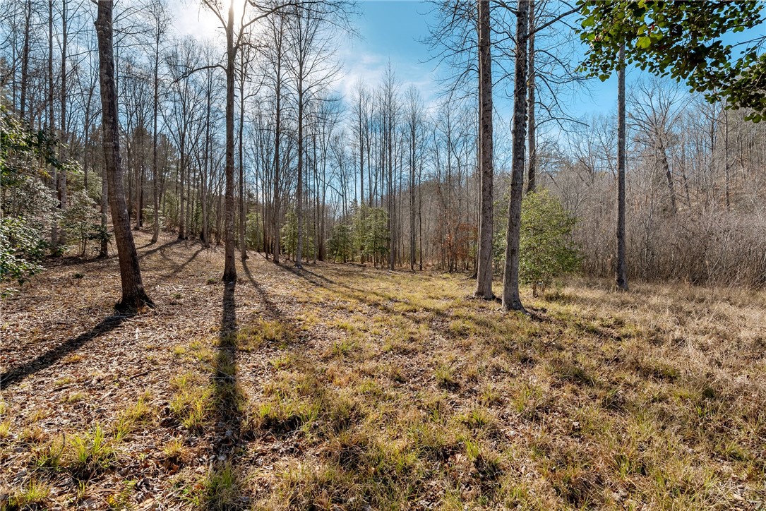 822 Briarberry Court, Salem, South Carolina image 3
