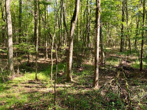 Vacant Land For Sale - 00 Horse Farm Road<br/> Abbeville County, Iva, SC 29655