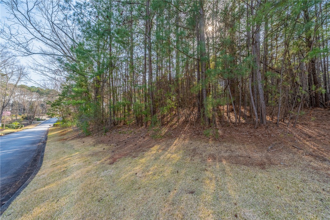 Lot 31 Emerald Pointe Drive, Seneca, South Carolina image 8