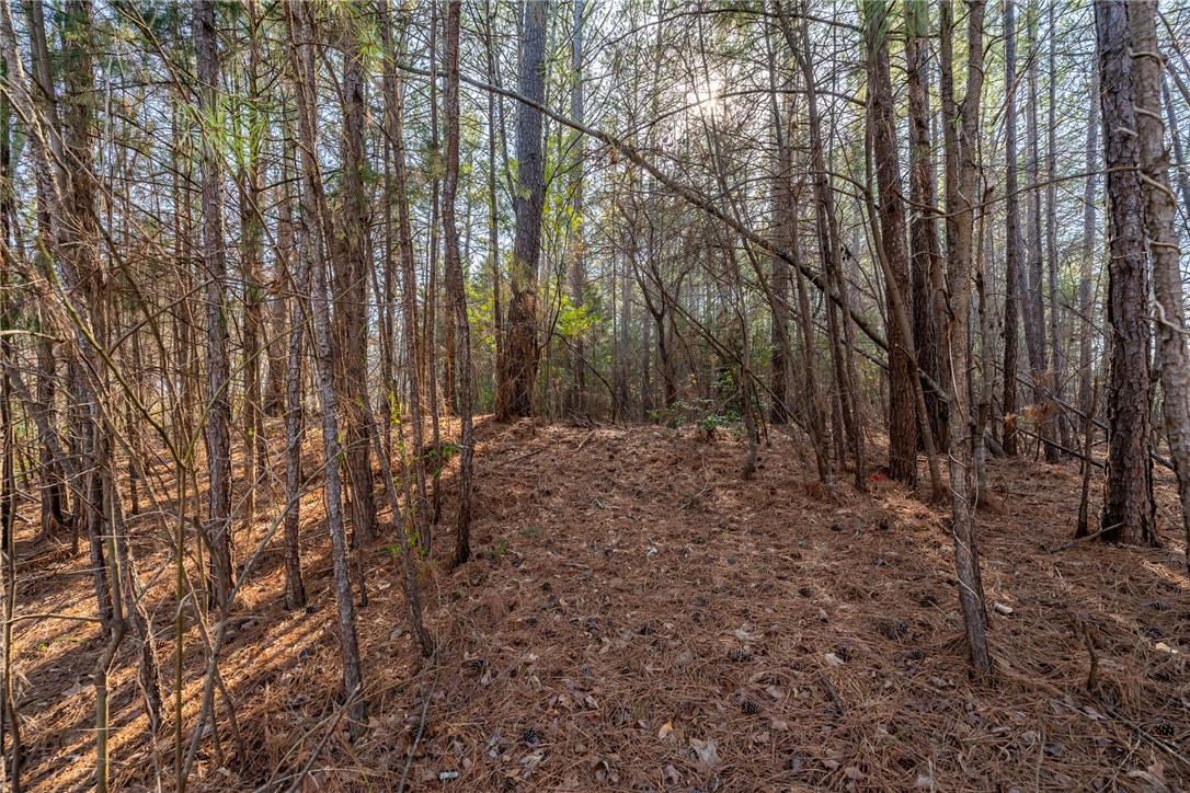 Lot 31 Emerald Pointe Drive, Seneca, South Carolina image 10