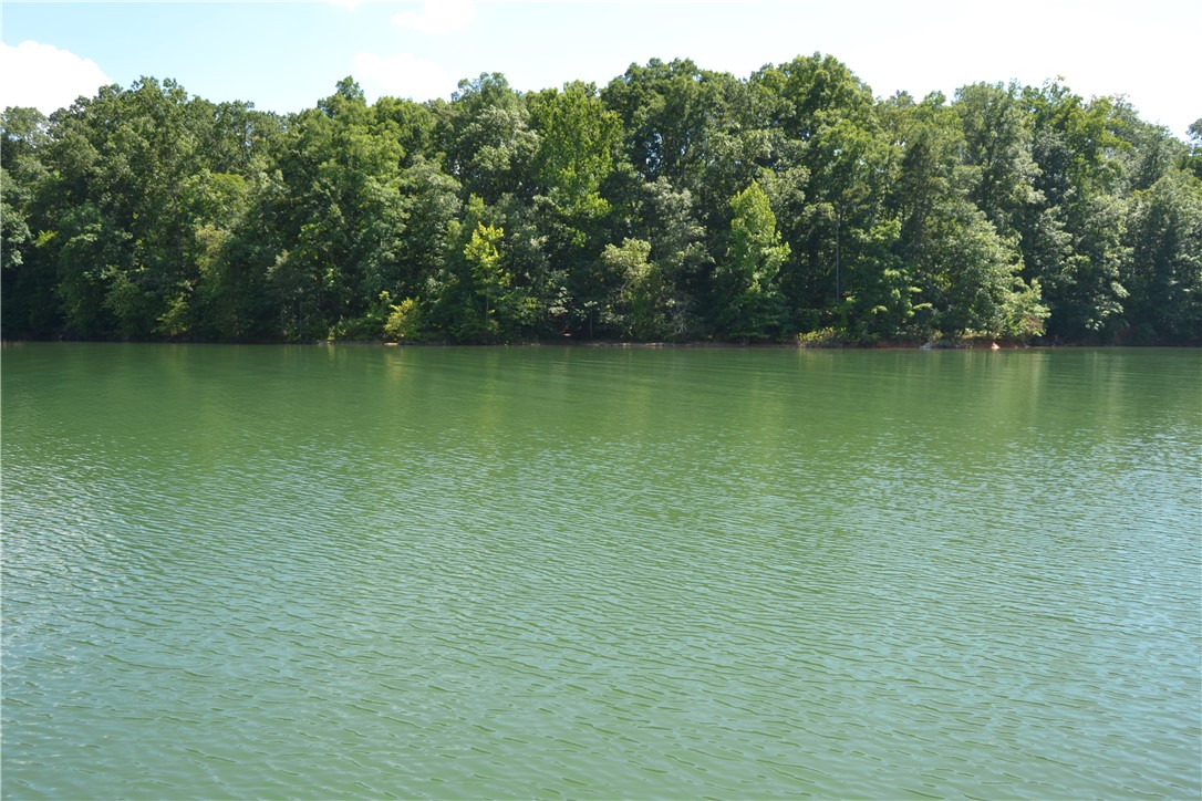 913 Paynes Creek Rd Road, Hartwell, Georgia image 7