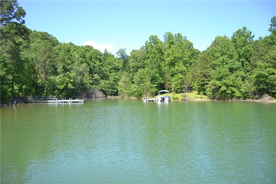 913 Paynes Creek Rd Road, Hartwell, Georgia image 6