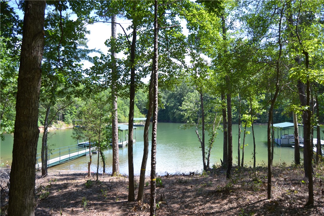 913 Paynes Creek Rd Road, Hartwell, Georgia image 2