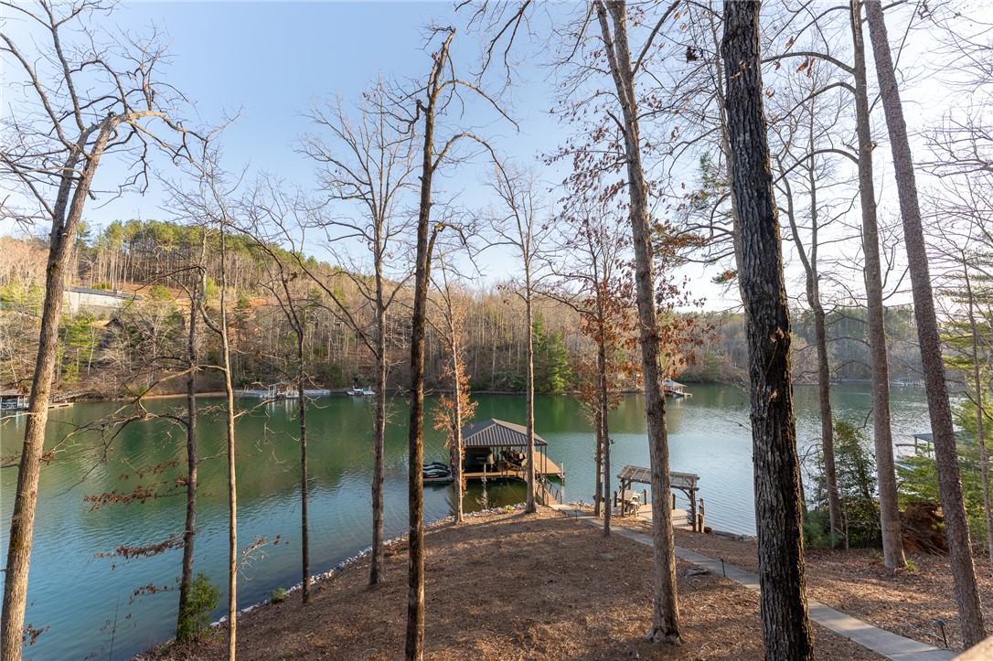 105 Cedar Cove, Sunset, South Carolina image 49