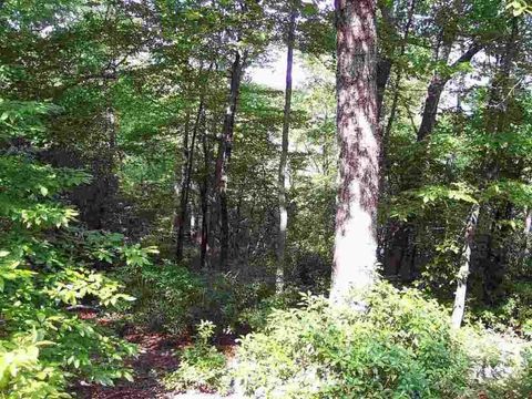 Vacant Land For Sale - 8 WOODS POND CRT Woods Pond Court<br/> Cleveland, SC 29635