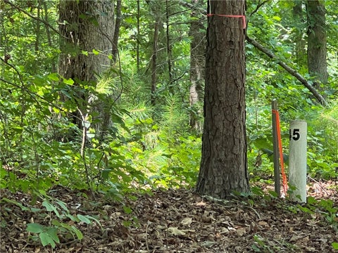 Vacant Land For Sale - 00 Promontory Ridge #LOT 45 STILLWATER<br/> Oconee County, Seneca, SC 29672