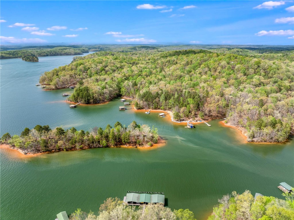 00 Point Road, Westminster, South Carolina image 9