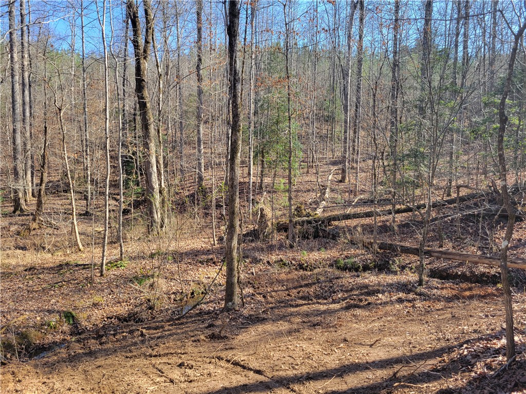 Lot 2 Old Flat Shoals Road, Walhalla, South Carolina image 18