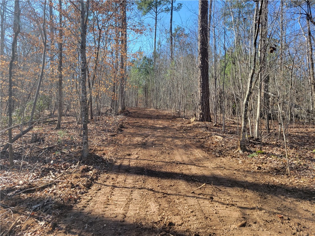 Lot 2 Old Flat Shoals Road, Walhalla, South Carolina image 20