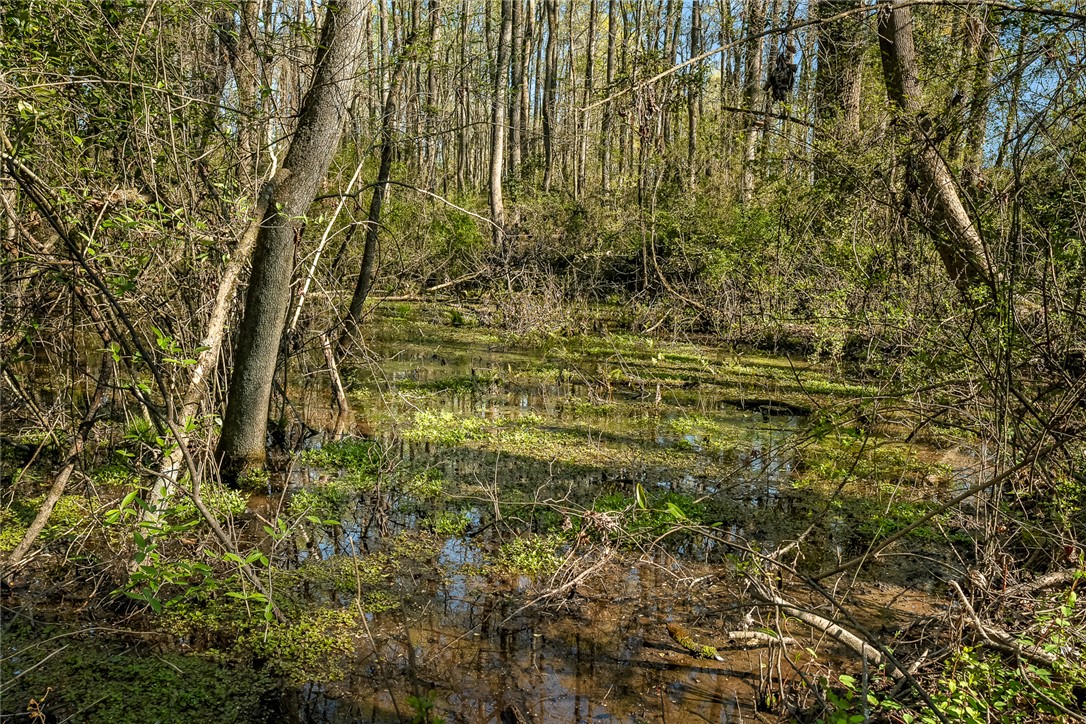00 Hwy 187 S, Starr, South Carolina image 18