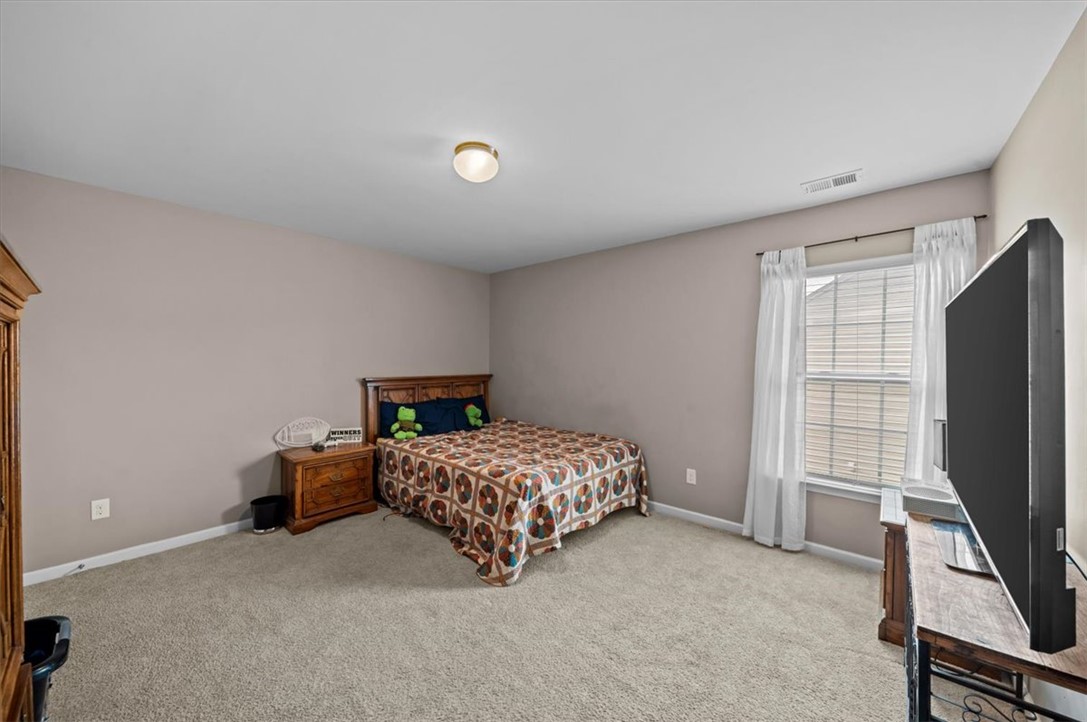 224 Hillendale Way, Pelzer, South Carolina image 14