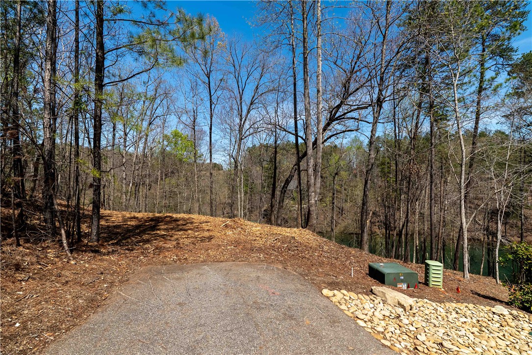 Lot 34 Crystal Cove Trail, Salem, South Carolina image 10