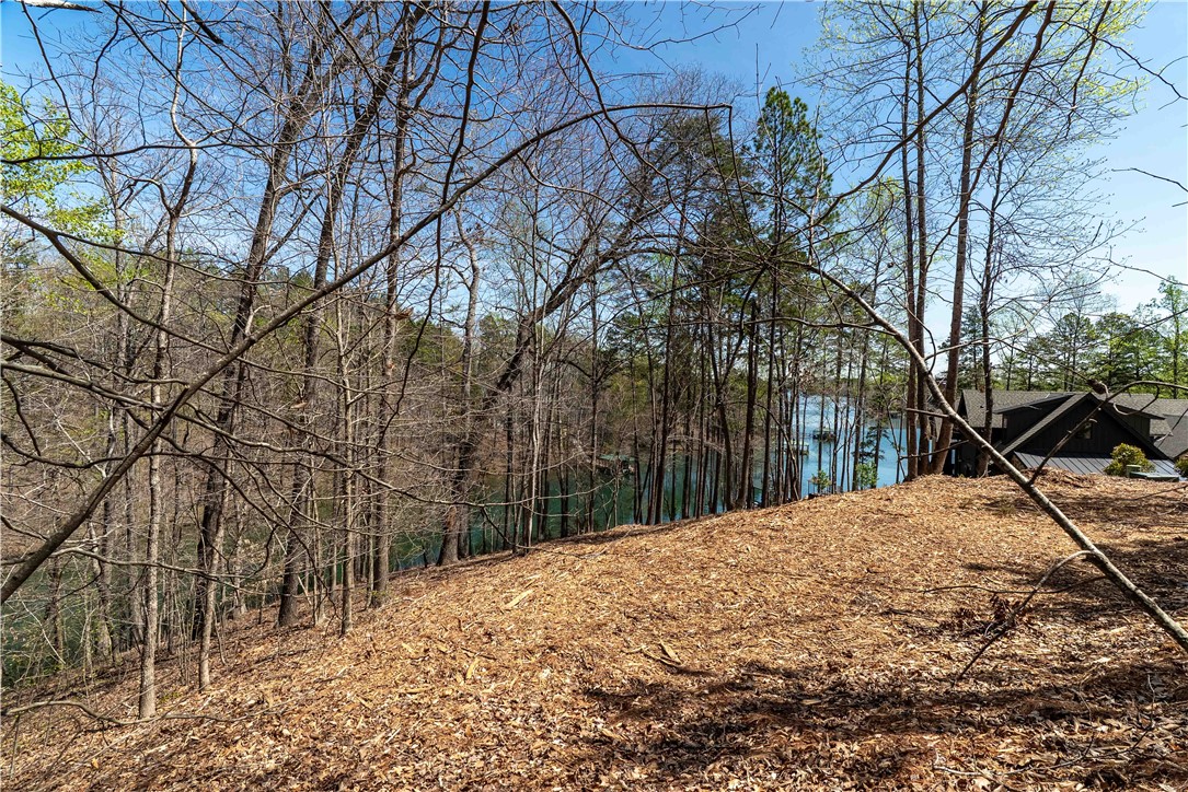 Lot 34 Crystal Cove Trail, Salem, South Carolina image 7