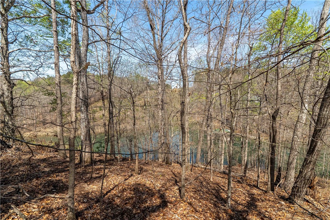 Lot 34 Crystal Cove Trail, Salem, South Carolina image 6