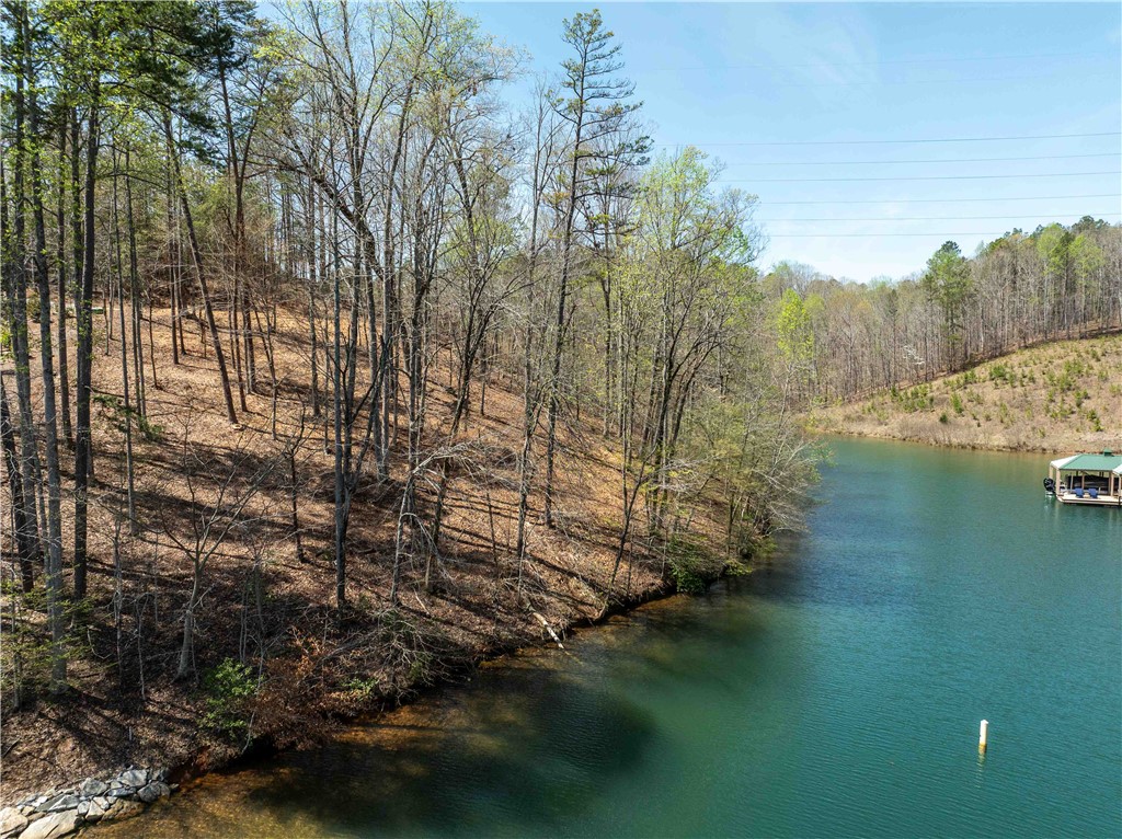Lot 34 Crystal Cove Trail, Salem, South Carolina image 3
