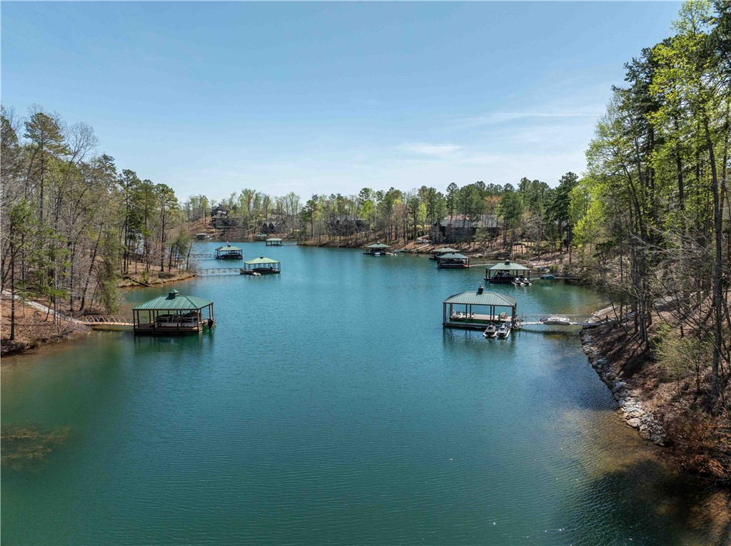 Lot 34 Crystal Cove Trail, Salem, South Carolina image 4